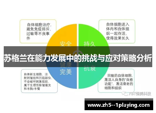 苏格兰在能力发展中的挑战与应对策略分析