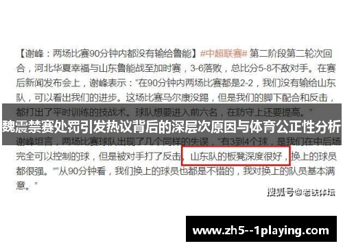 魏震禁赛处罚引发热议背后的深层次原因与体育公正性分析