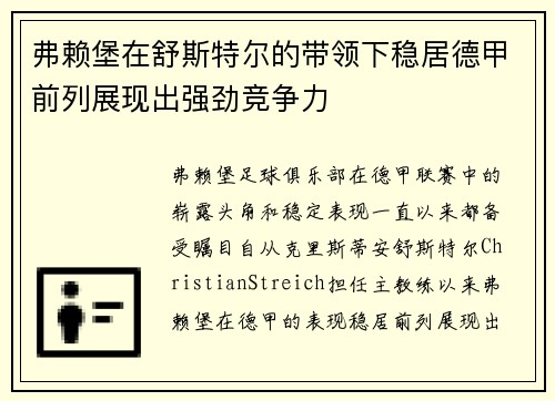 弗赖堡在舒斯特尔的带领下稳居德甲前列展现出强劲竞争力