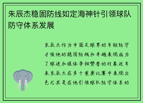 朱辰杰稳固防线如定海神针引领球队防守体系发展